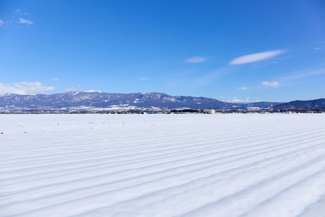 マイトリーなう