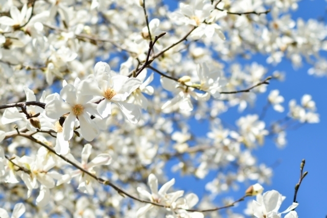 マイトリーなう