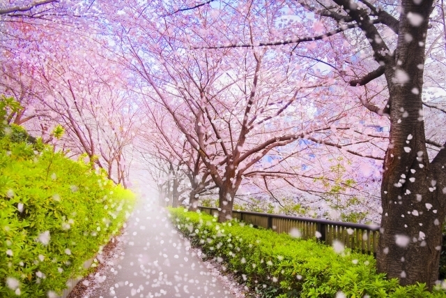 マイトリーなう