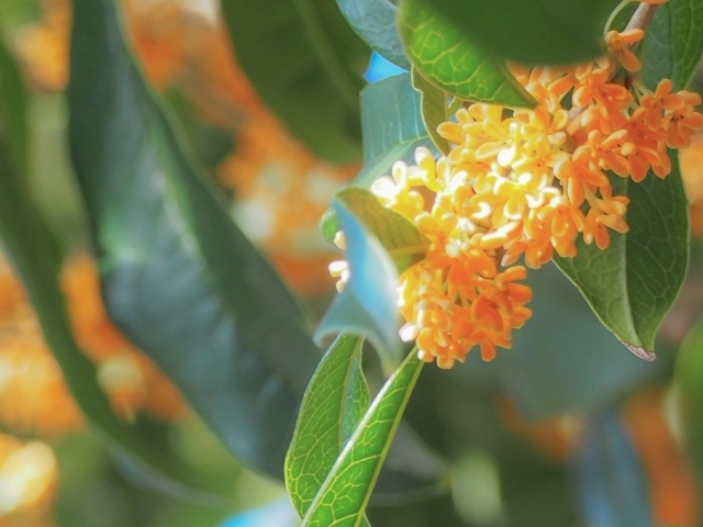 マイトリーなう