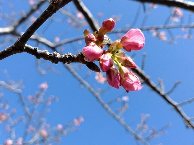 マイトリーなう