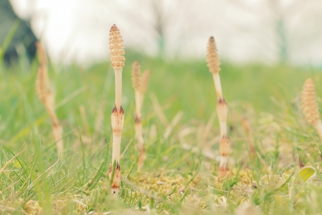 マイトリーなう