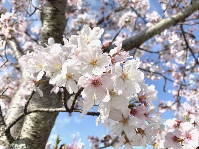 マイトリーなう