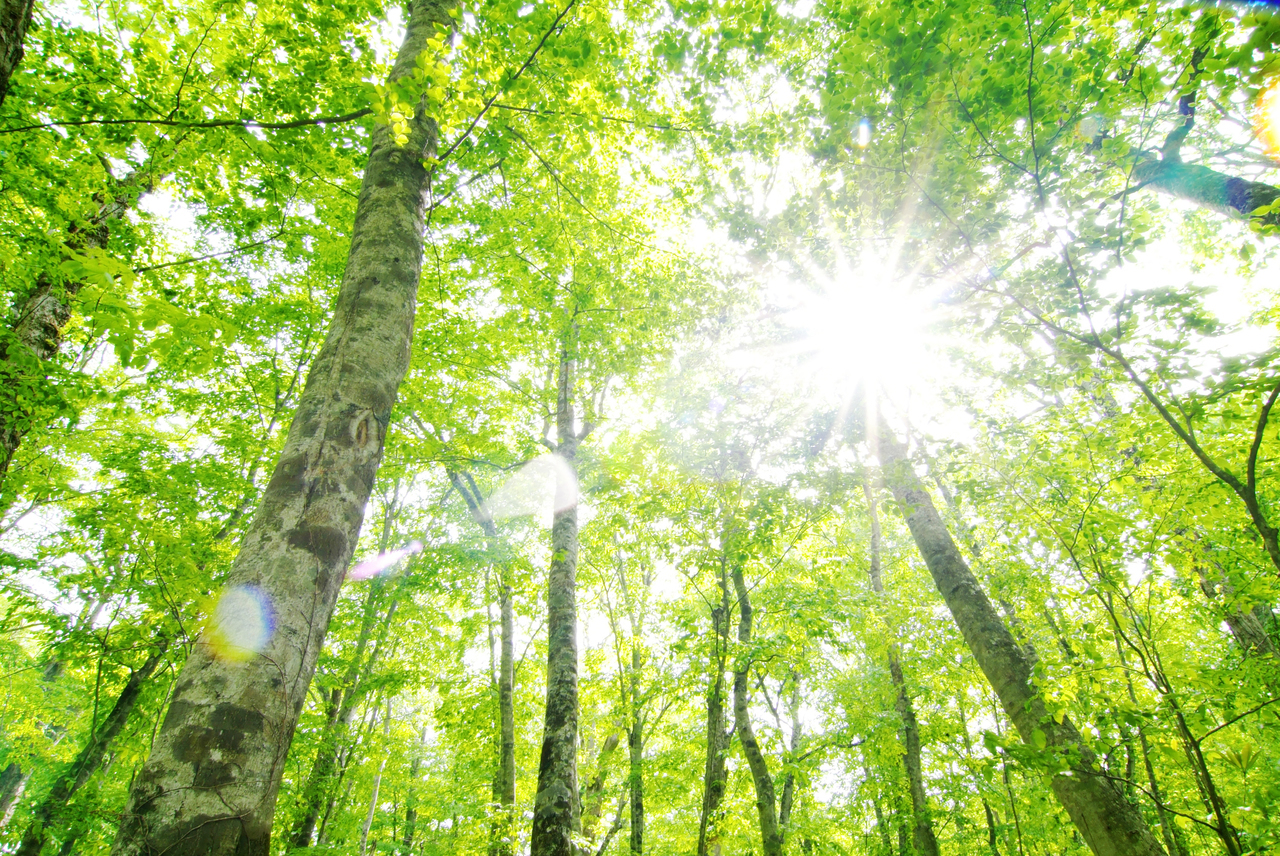 マイトリーなう