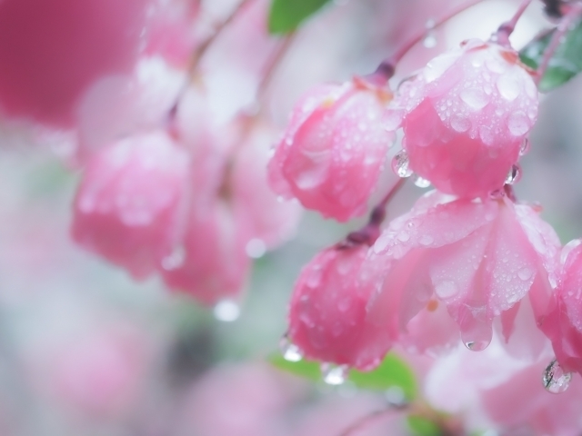 マイトリーなう