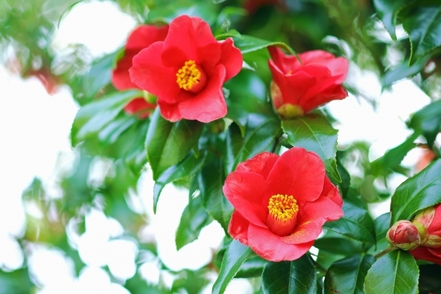 マイトリーなう