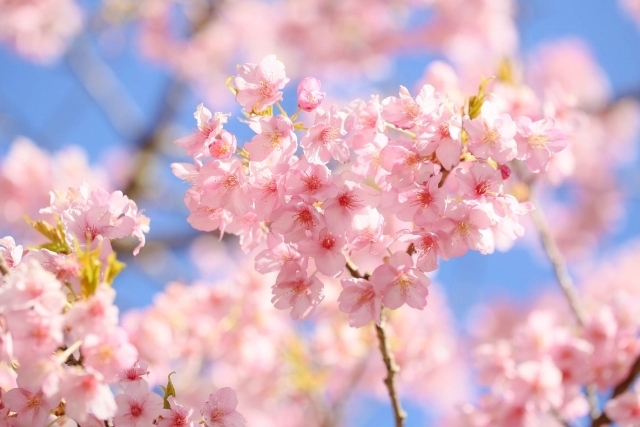 マイトリーなう