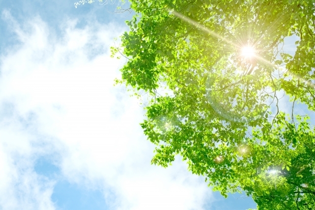 マイトリーなう