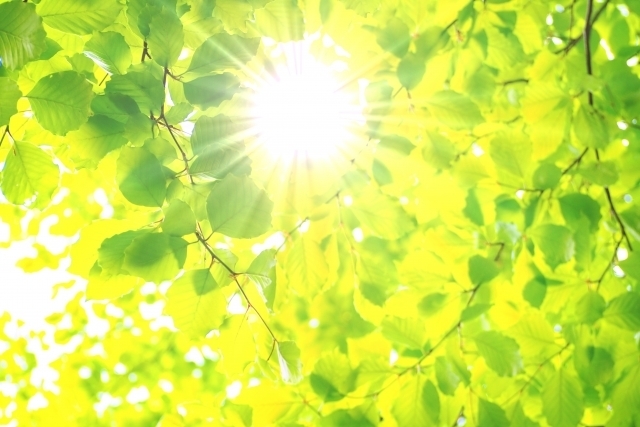 マイトリーなう