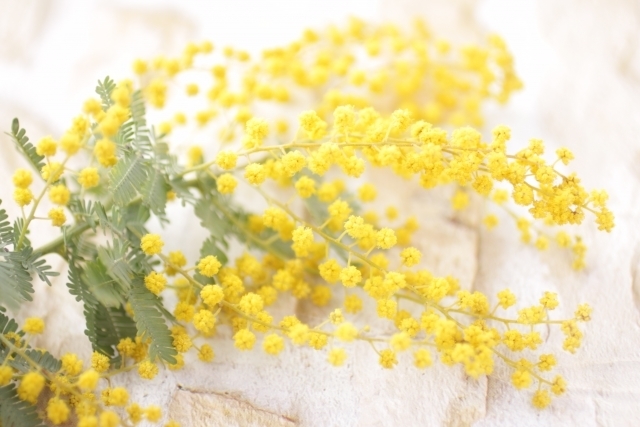 マイトリーなう