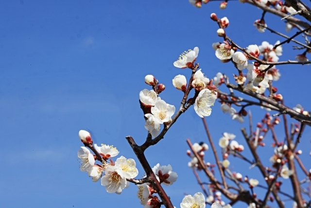 マイトリーなう