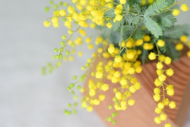 マイトリーなう