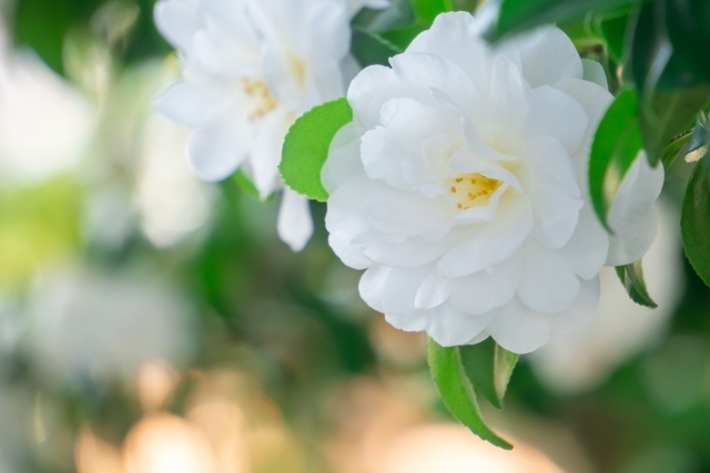 マイトリーなう