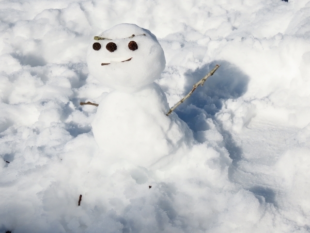 マイトリーなう