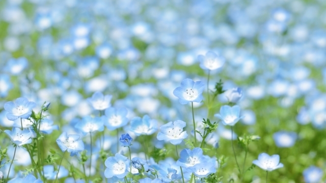 マイトリーなう