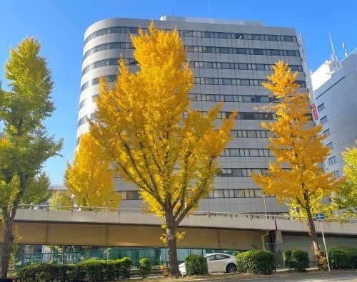 マイトリーなう