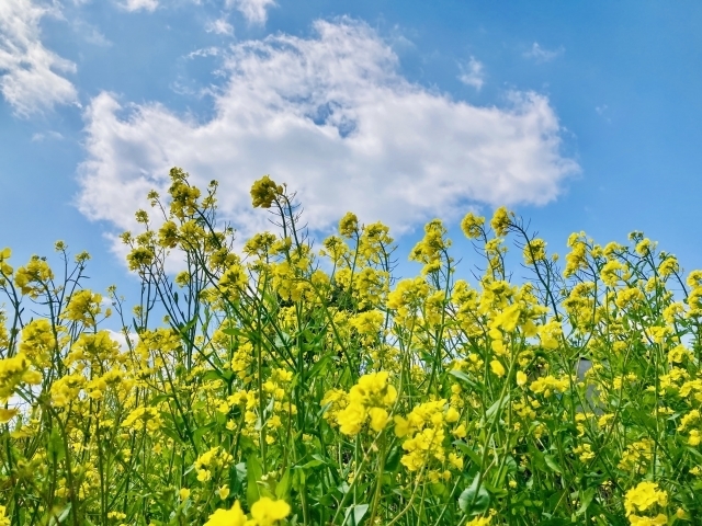 マイトリーなう