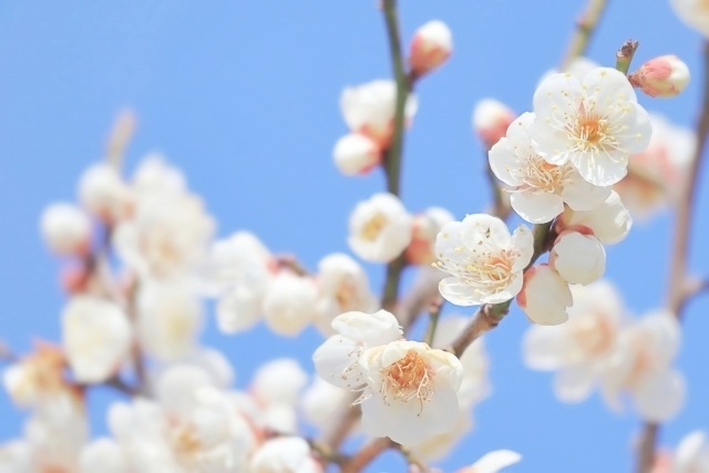 マイトリーなう