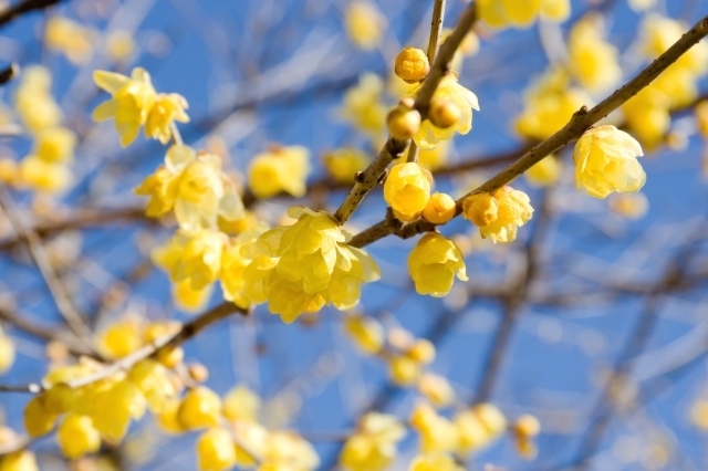 マイトリーなう