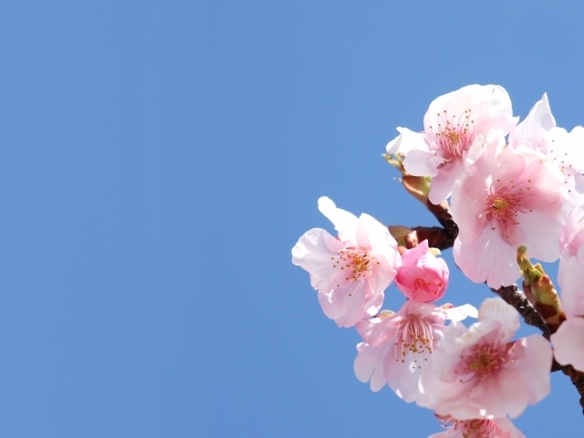 マイトリーなう