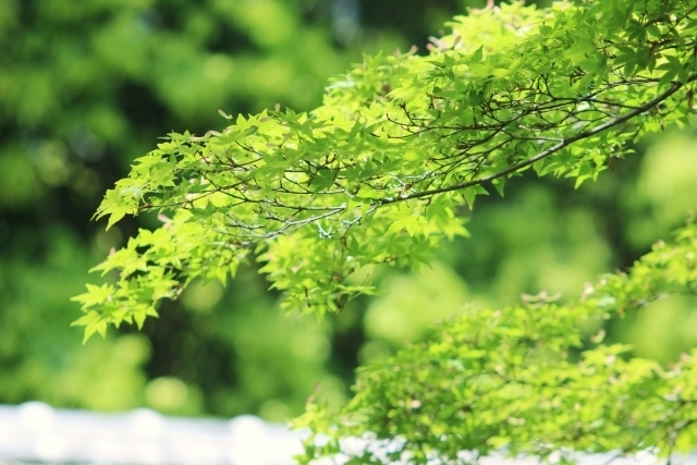 マイトリーなう