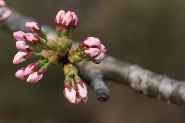 マイトリーなう